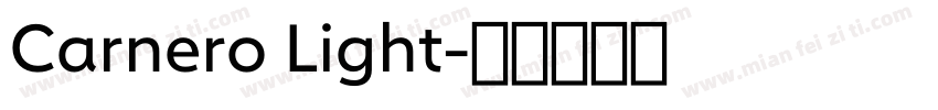 Carnero Light字体转换